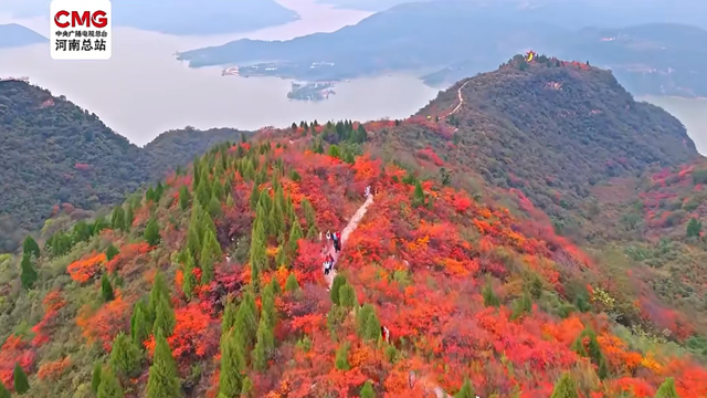 亮相央视！洛阳这些赏秋地，太美！