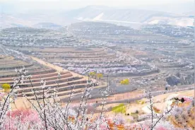 彭阳山花烂漫，待你丛中笑图片