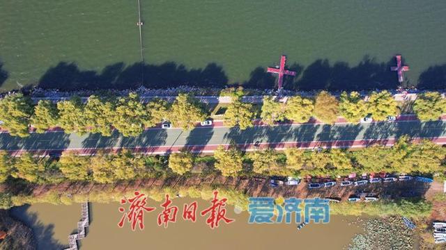 一年四季 泉在济南丨初冬雪野湖 “颜值” 在线 天蓝湖碧引客来