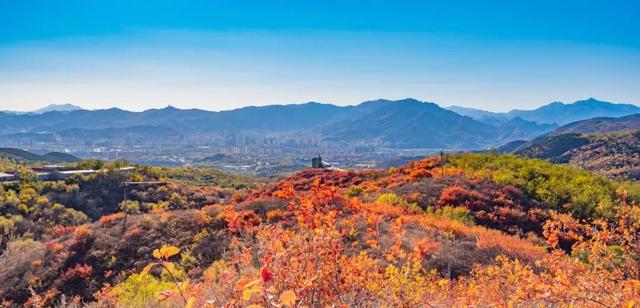 中国宝藏观景台都在哪？