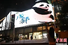 四川成都：数字裸眼3D熊猫吸引民众图片