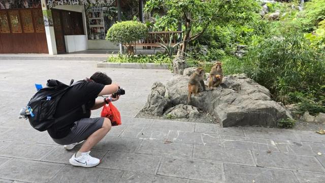 桂林“猴哥”跳水视频在网络火了！这个时间段跳水的几率会更高→