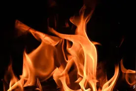 突发！青岛一保税仓库起火：正全力扑救图片