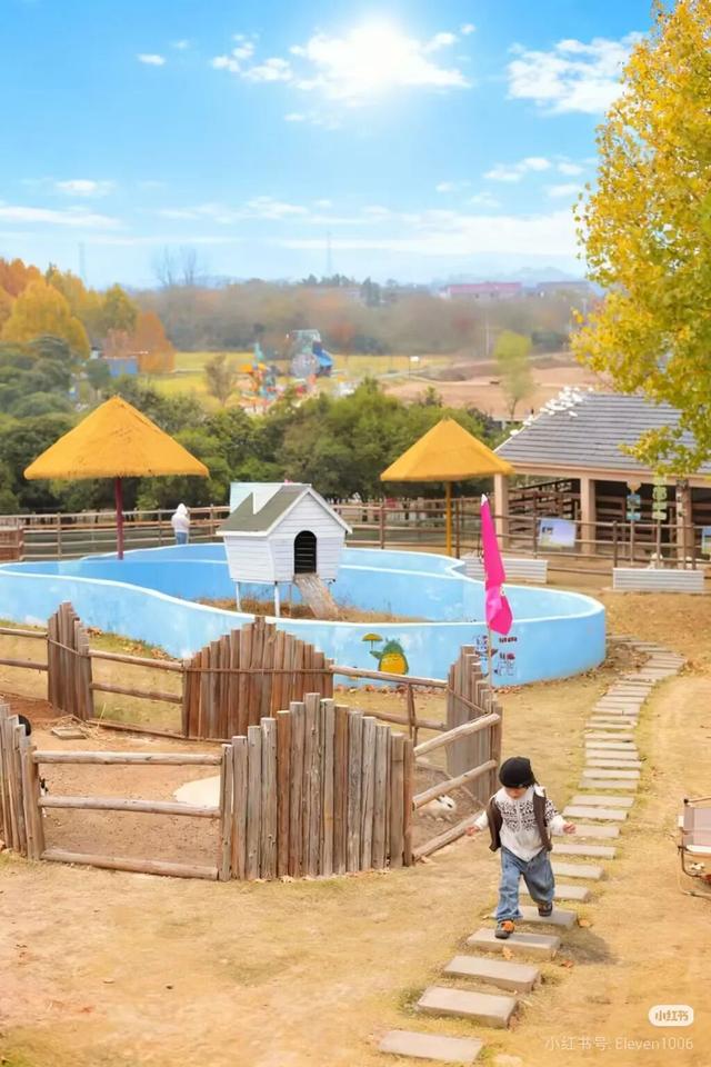 江宁初冬亲子“三件套”→