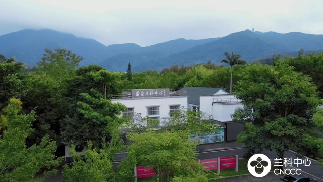 沉浸式赏兰！还有新展限时开放！