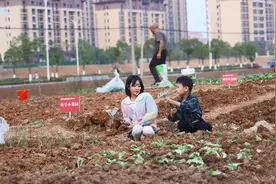 固始人居环境整治出新招！闲置地变身“城市小菜园”图片