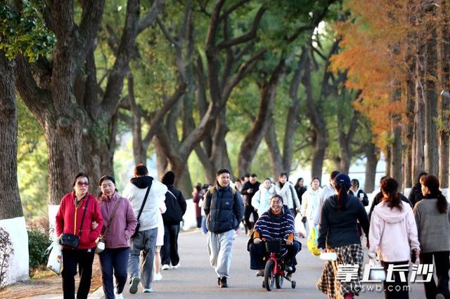 组图｜又是好天气，市民乐游园