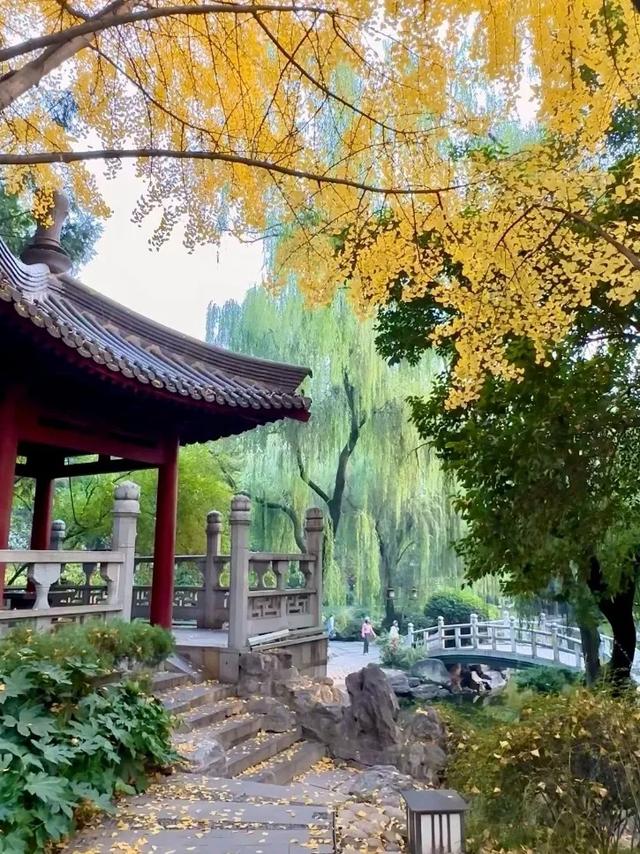 走进西安4大免费开放的宝藏公园