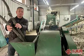 霞浦盐田：药材变“药财” 振兴路上有法子图片