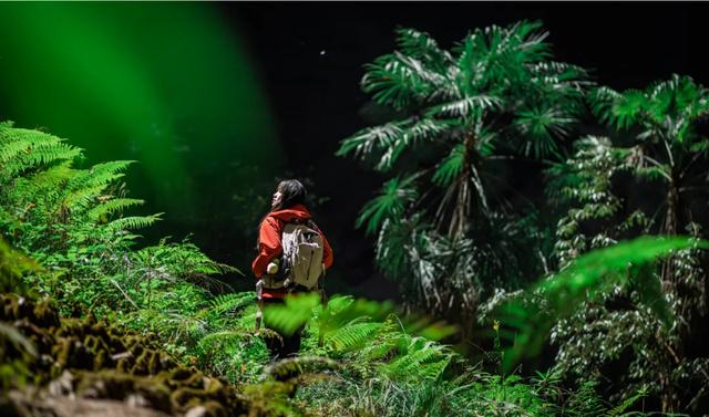 十年之约 | 全国民辅警及家属免费游宣恩矅天眼！