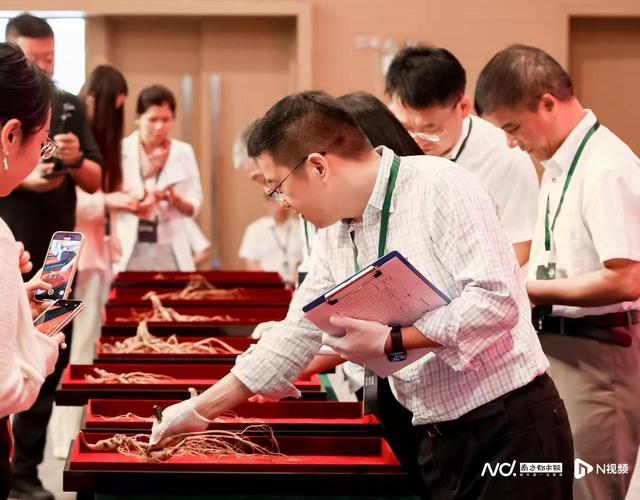 沉浸式体验“百草之王”魅力！横琴人参文化周开幕