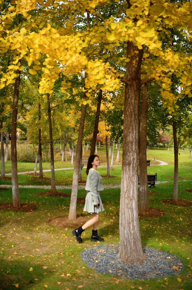 绝美！走，打卡去！