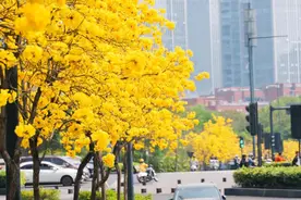 花~花~开~了~等~你~来~🤩图片