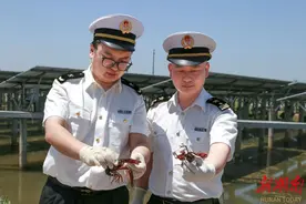 大通湖鲜活小龙虾今年首次供港图片