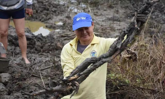 央视大片《珠江》里的花都⑤：山水滋养的田园至味