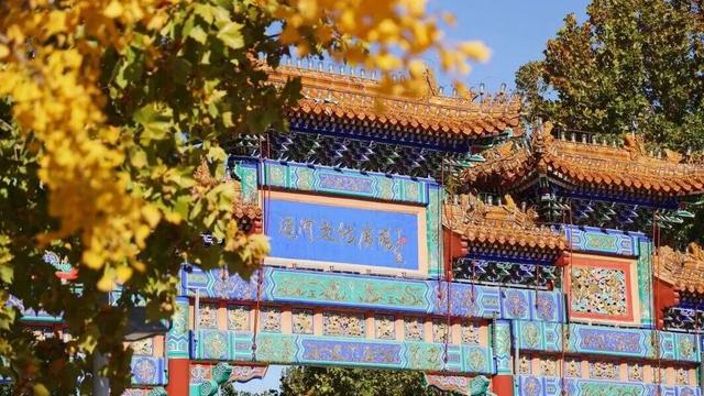 快打卡！通州秋天藏在这里~