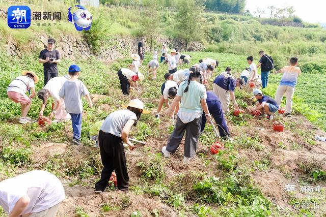 潮闻小编导| 秋日“寻根”记，大自然给我施了魔法
