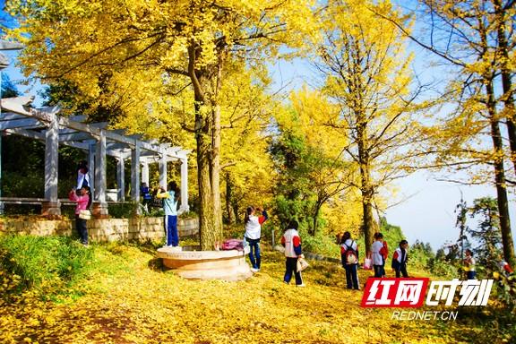 “益”起出发！益阳这5条旅游线路，承包你的精彩旅程