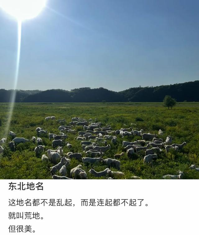 东北“屁股沟”，成了年轻人的瑞士平替