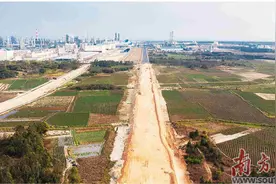 南海大道路基工程实现全面贯通图片