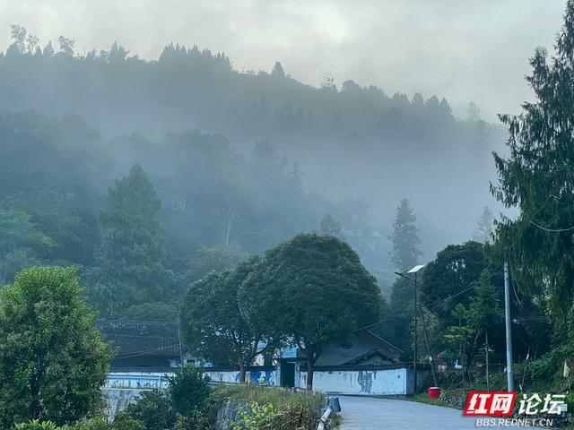 岁暖时刻丨雾锁湘西晨色里，一方秘境藏烟火
