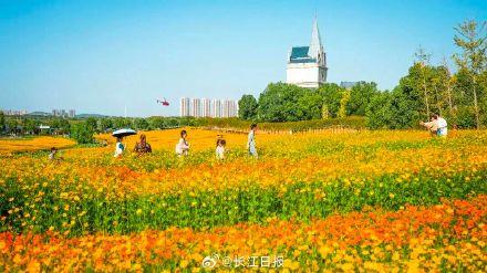 重阳节将至武汉多家景区免票