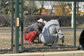 紧急提醒！哈尔滨街头组团出现，不要吃！图片