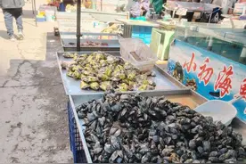 烟台春季海鲜大餐抢“鲜”上市 品多价实尝鲜正当时！图片