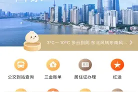 此功能迁移！劳动人事争议调解“随申办”操作指引→图片