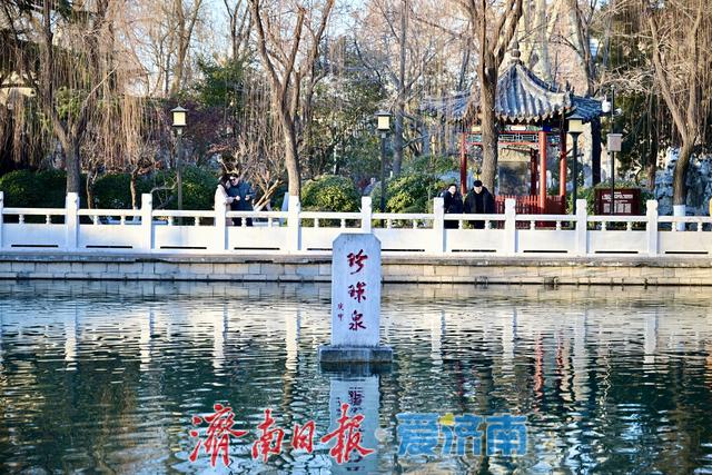 一年四季 泉在济南丨珍珠泉畔人气旺 游客打卡定格泉城冬日灵动之美