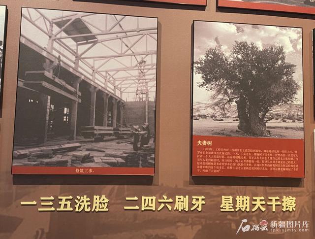 文化中国行·行走美丽新疆 | 戈壁马兰花开，见证两弹峥嵘岁月