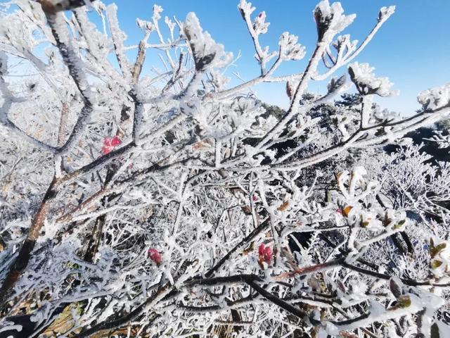 池州这里下雪了！
