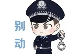 冬季行动丨疯狂作案20余起后逃窜...警察蜀黍：“盗”此为止！图片