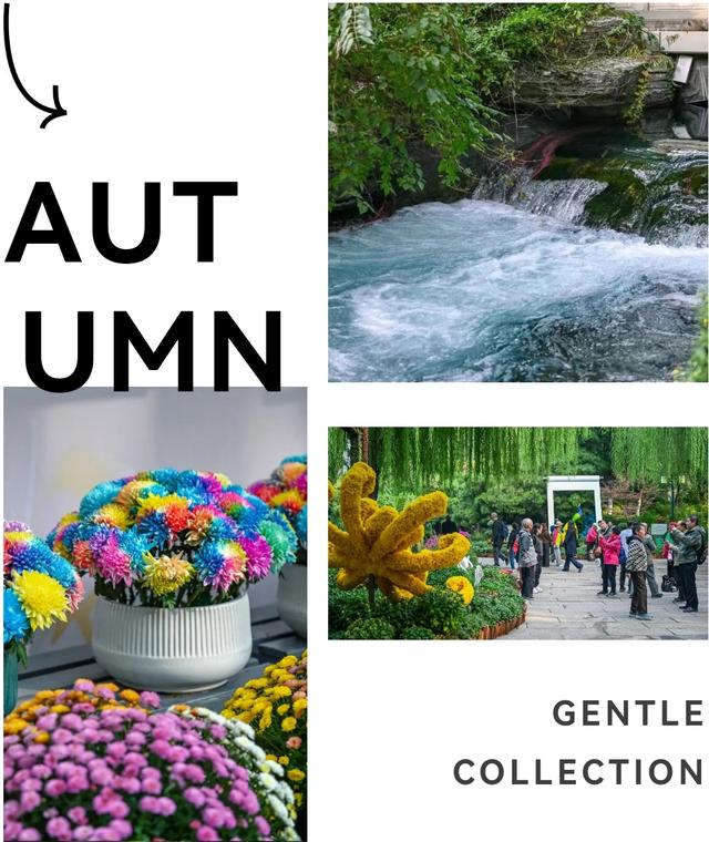 走，去趵突泉！收集秋天最靓的九宫格～