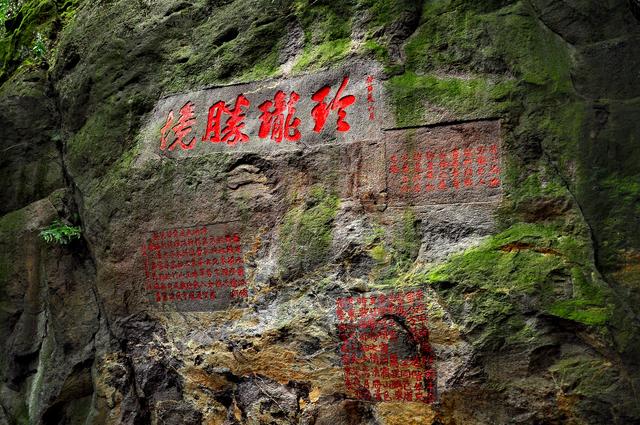 写点生活｜给生活支根棍儿