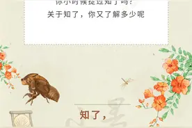 半岛涂图丨蝉，馋馋馋！夏日限定美食上桌，关于知了猴，你了解多少图片