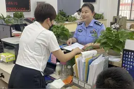 盛开在窗口的“格桑花”——记武汉市公安局江夏区分局人口大队女警梅爱萍图片