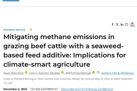 如果把奶牛一天放的屁收集起来，竟然可以烧开 20 升的水？图片