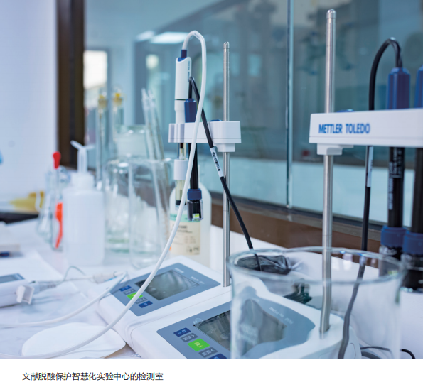 《领创之光》：三百余位在京科学家及团队背后的人文温度