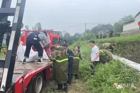华亭：临时救助解危难 精准施策暖人心图片
