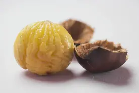 健康小站丨天凉了，热乎乎的板栗飘香，怎么吃还真有门道图片