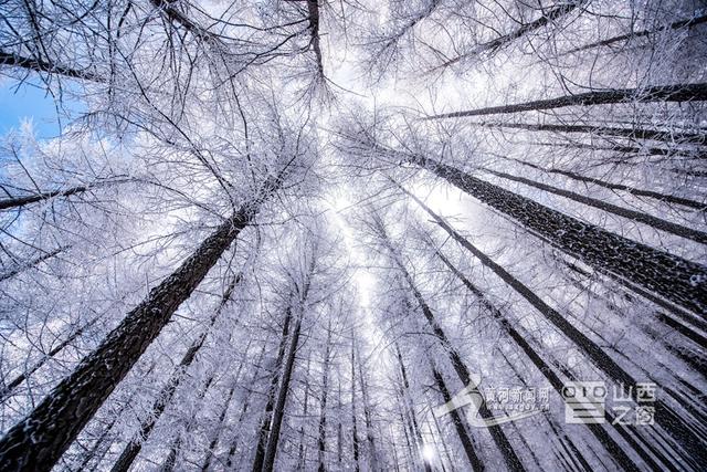 请收好！山西雪景高饱和度震撼大片