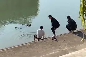 准新郎去婚纱店路上，忽然跳入河中……图片