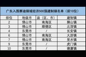 广东98个镇入围2024镇域经济500强，前十占七席图片