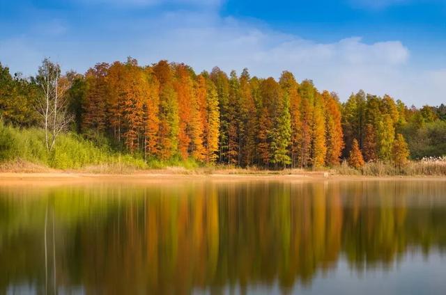 句容惊艳一幕！上人民日报、央视