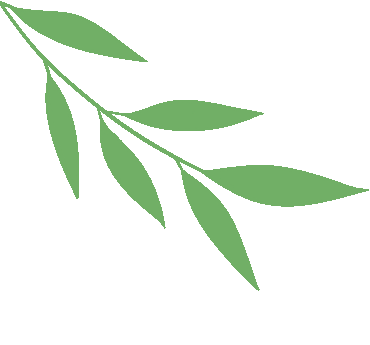 宠粉不停歇！第四波福利来了！