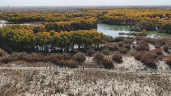 新疆洛浦：超31.5万人次 消费2520万元