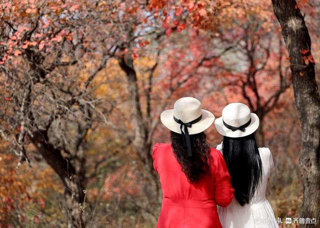 立冬时节，景色如画