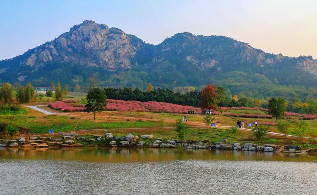 山东日照：一叶知秋意 满目皆画卷