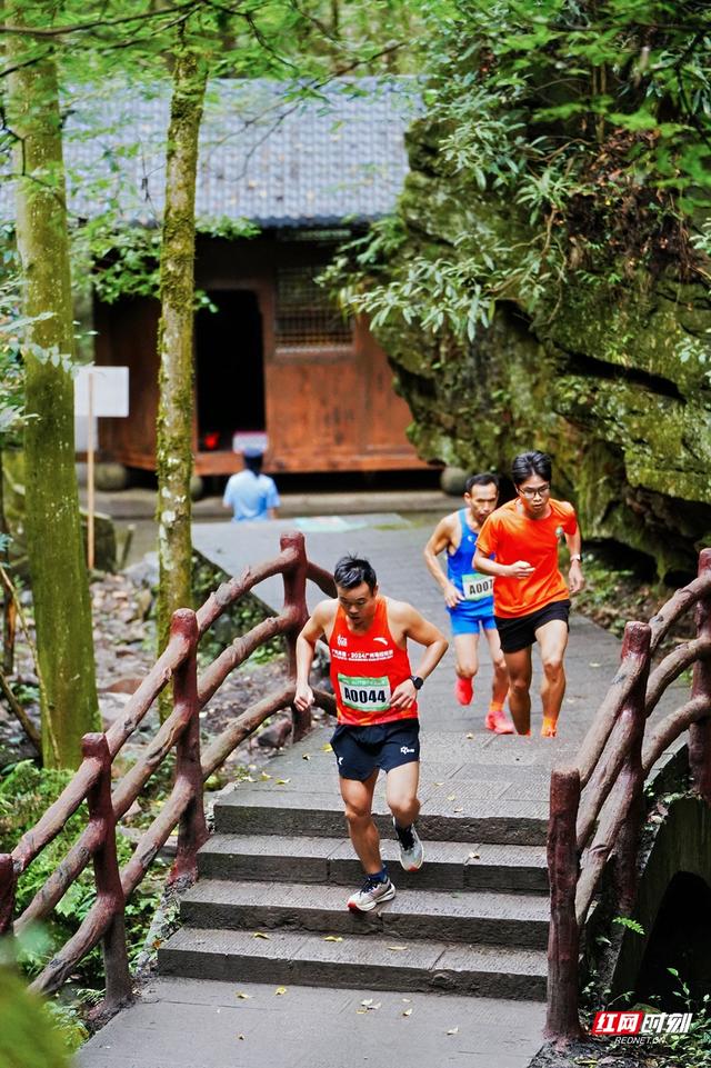 全球2000爱好者集结！张家界鹞子寨登山赛：竞技与自然美景撞个满怀